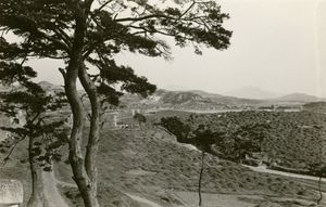 광희문 외부 신당리 내지인 공동묘지 일원.