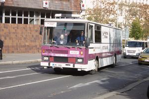 체코 해적당의 선거 유세 버스