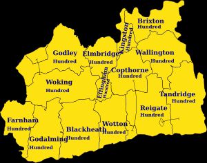 부터 서리주를 백으로 나눈 모습