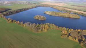 호모우토브스케 호