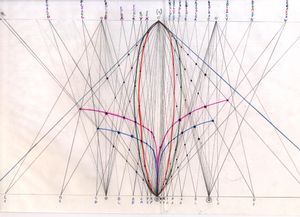 로렌스 에드워즈의 연구에 기반한 성장 측정과 극 소용돌이. 사영 기하학 원리가 자연 현상 분석에 응용될 수 있음을 보여준다.