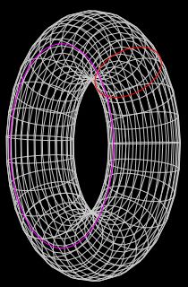 그림의 토러스 상의 2색 루프는 양쪽 모두 1점으로 수축될 수 없다. 따라서 토러스는 구와 위상 동형이 아니다.