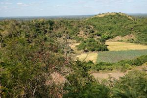 캄퐁 참 주 프놈 프로스의 킬링필드