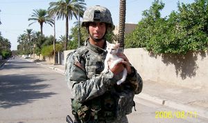 2006년 바그다드에 있는 코튼