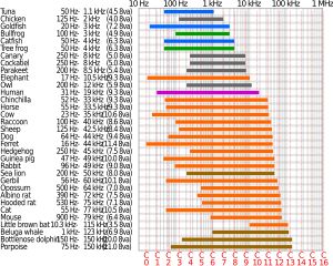 동물의 가청 범위 비교