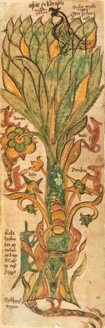 17세기 아이슬란드 삽화에 묘사된 우주적 나무 위그드라실