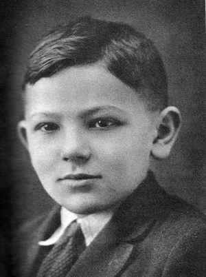 어린 시절의 가필드