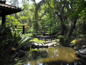 데스칸소 가든스(Descanso Gardens)의 일본 정원