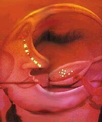 스튜디오 54 댄스 플로어를 가로지르는 달 모형