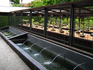 보태니컬 가든 – 분재 컬렉션