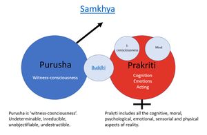 Puruṣa-prakriti