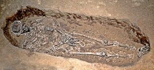 Skeleton in a burial pit, covered in ivory beads