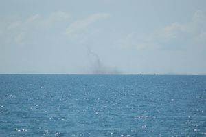 호수에서 멀리 떨어진 연기 기둥처럼 보이는 거대한 호수 파리 떼 (Chaoborus edulis)