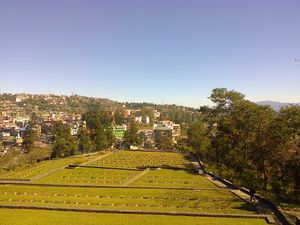 코히마 전쟁 묘지