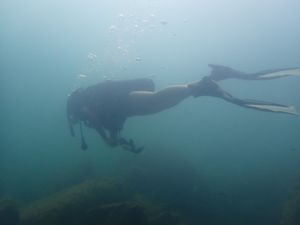 2020년 탕가니카호의 흐린 물에서 채집하는 생물학자. 시클리드 물고기의 식단 적응에 대한 연구를 통해 진화와 종분화를 더 잘 이해하기 위함이다.