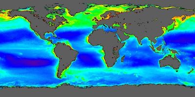 위성으로 본 북반구 봄철 표층 해양 엽록소 농도, 1998년부터 2004년까지 평균. 엽록소는 식물플랑크톤의 분포와 풍부함을 나타내는 지표이다.