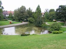 압딩호프의 파더강 수원역