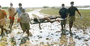 국민 의용단 봉사자들의 쓰나미 구호 활동