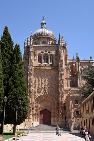 Plateresque 양식의 살라망카 신 대성당 남쪽 정면. 1513년부터 1733년 사이에 건축되었다.