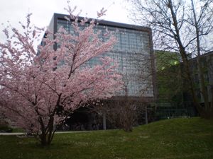 컴퓨터 과학부 건물