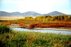 몽골 고원의 강, 몽골 북부