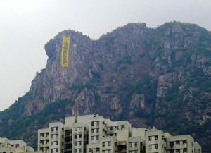 사자산에 걸린 거대한 현수막