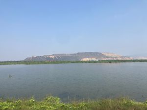 망감페트 중정석