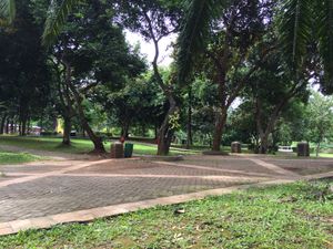 데폭 캠퍼스의 대부분은 숲으로 덮여 있다.