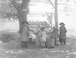 중국계 미국인 조개 판매상 (1918)