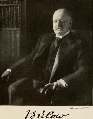 베른하르트 폰 뷜로프, 1900년부터 1909년까지 독일 제국 총리. 처음에는 티르피츠의 계획을 지지했으나, 이후 재정 부담과 외교적 고립 심화에 대해 우려하게 되었다.