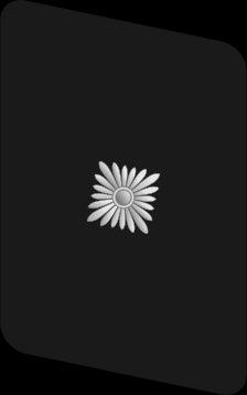 NSKK 고르제 패치