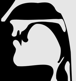 무성 경구개 마찰음 (ç)