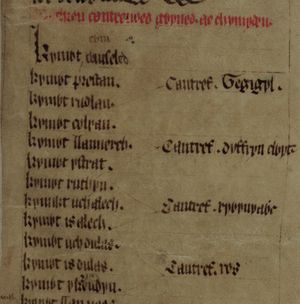 1285년 이전의 헤르제스트의 붉은 책에 나오는 수백 개의 목록(왼쪽)과 칸트레피(오른쪽)