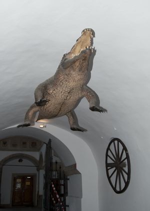 브르노 용과 브르노 바퀴(Brno Dragon and Brno Wheel) 구 시청사