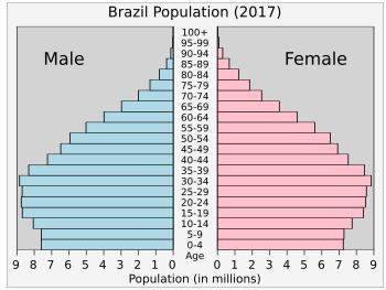 2017년 브라질의 인구 피라미드