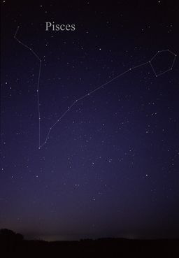 육안으로 볼 수 있는 물고기자리