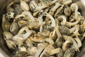 그릇에 담긴 열린 껍데기