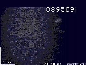 대서양 청어 유생의 요각류 포식 장면 (슬로우 모션).