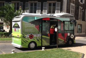 무료 셔틀 버스인 Coxitis