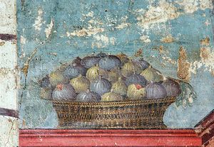 바구니 안의 무화과, 폼페이. 말린 무화과는 고대 로마에서 소비되었다.