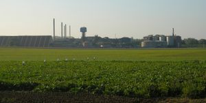 벨기에의 사탕무 농장: 밭 너머에는 설탕 공장이 있다.