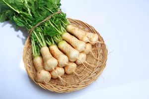 고북 황토 알타리무