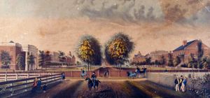 1850년 칼리지 스트리트에서 바라본 사우스캐롤라이나 칼리지