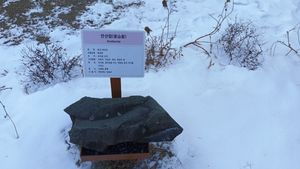 야외 전시장의 안산암