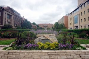 헨리 몰은 농업생명과학대학의 여러 학과에 둘러싸여 있다.