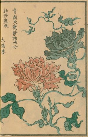 변화 나팔꽃의 예