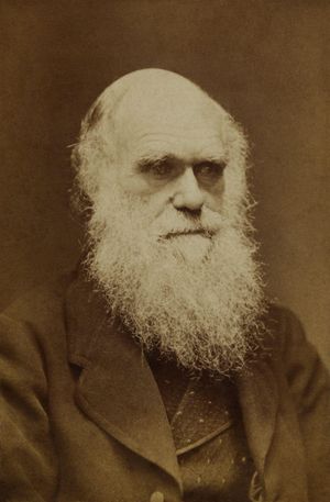 찰스 다윈의 두 번째 이론서는 다윈 시대의 많은 질문들을 포함하고 있다.