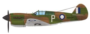 1942년 8월 뉴기니 상공에서 제75 RAAF 비행대대의 F/O 제프 애더튼이 조종한 커티스 키티호크 Mk IA