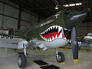 비행 가능한 커티스 P-40N-5-CU 워호크, 명예의 비행기 박물관