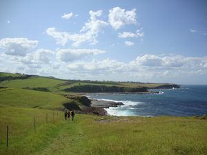 도시 외곽의 울런공 해안선